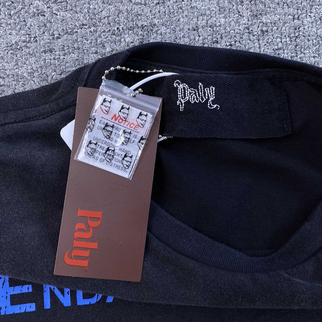 PALY HOLLYWOOD ENDANGERED YOUTH T SHIRT - PASTFRWRD
